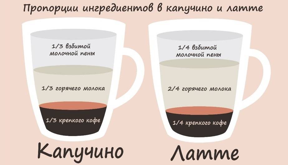 Как правильно взбить молоко для кофейных напитков