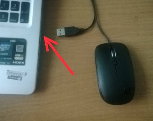 Выключается мышь и клавиатура при установки виндовс