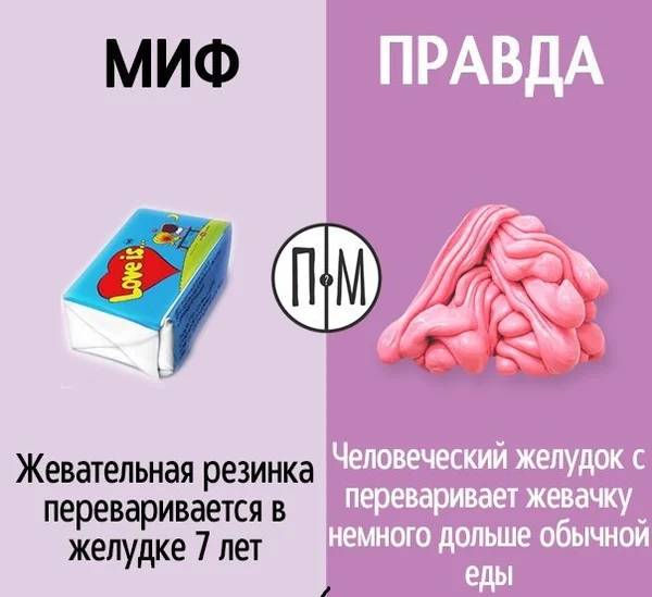 Задуматься о том что из мифов о дизайне интерьера правда а что ложь миф первый