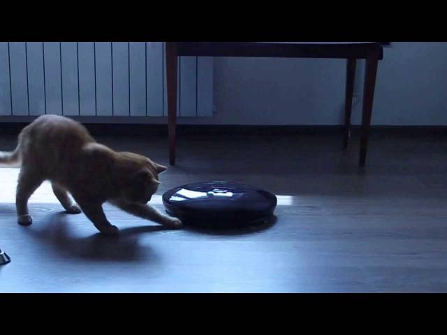 Эксперты предсказали, когда в мире начнется восстание машин