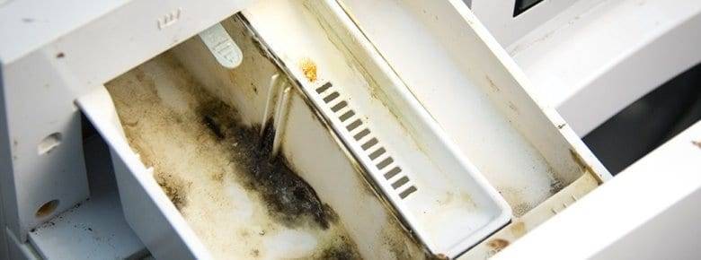 Запаха плесени в стиральной машине: как избавиться, чем вывести грибок