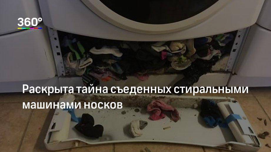 Куда деваются носки в стиральной машине: (пропадают), где искать потерянные носки после стирки в машине art-textil.ru