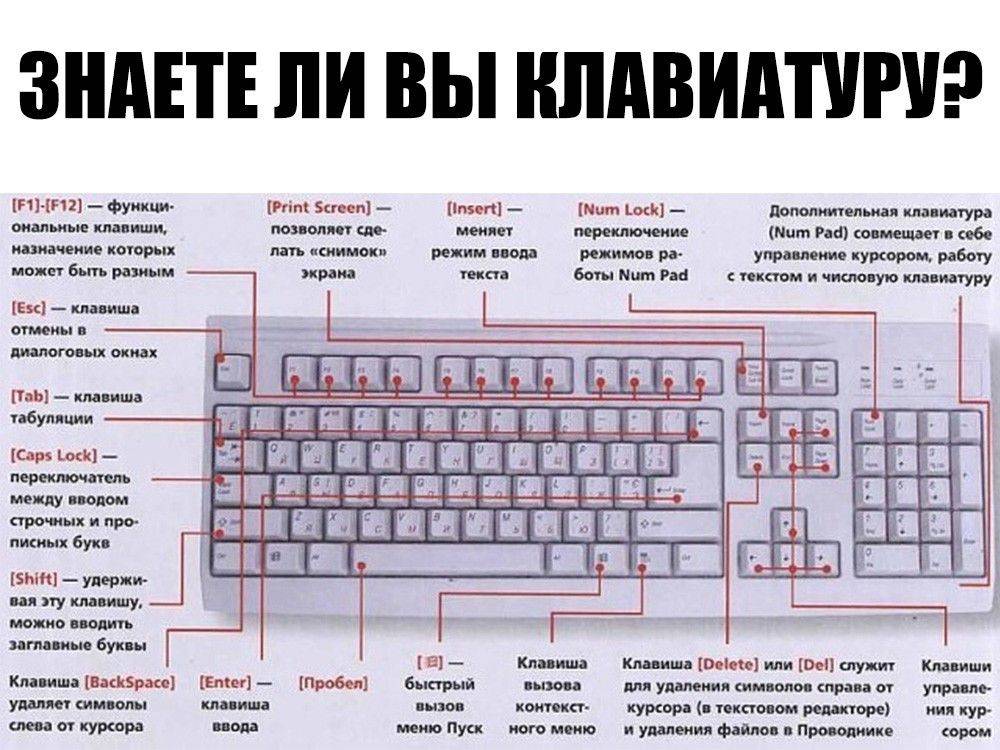 Какая клавиша отключает использование цифрового блока. Расшифровка клавиатуры компьютера мини таблица. Обозначения клавиш на клавиатуре компьютера. Описание кнопок на ПК клавиатуре. Кнопка разблокировки клавиатуры компьютера.