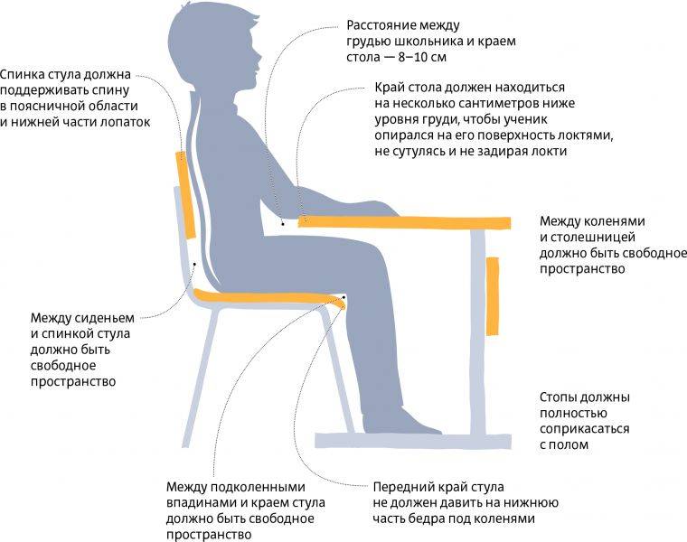 Ортопедический стул для школьника - тест моделей с ортопедом
