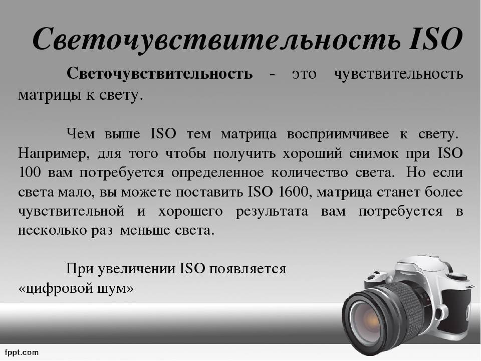 Типы и виды цифровых фотоаппаратов