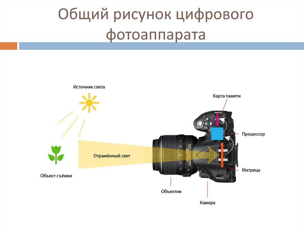 Устройство цифрового фотоаппарата