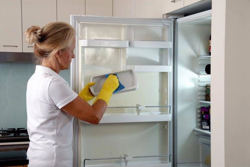 Что делать и как избавиться от неприятного запаха и плесени в холодильнике?