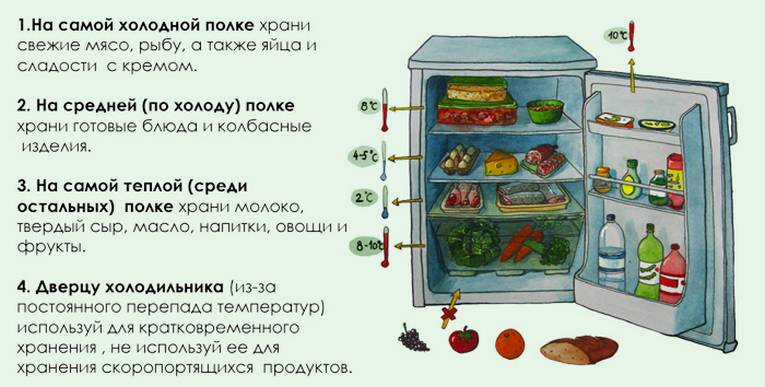 Ящик под холодильник и почему там нельзя хранить овощи