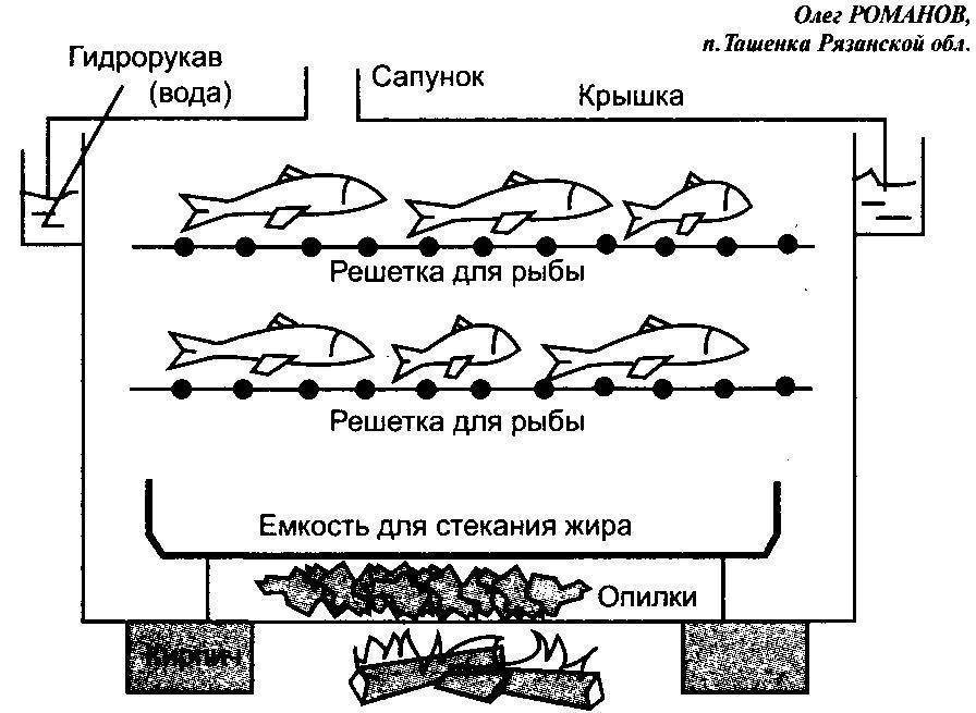 Коптильня горячего копчения своими руками размеры чертежи