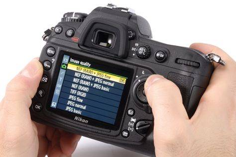 Как выбрать фотоаппарат: критерии выбора зеркальных и цифровых моделей | pricemedia
