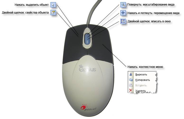 Правая кнопка мыши клики. Строение кнопки компьютерной мышки. Детали мышки компьютерной. Элементы компьютерной мыши. Строение компьютерной мыши.