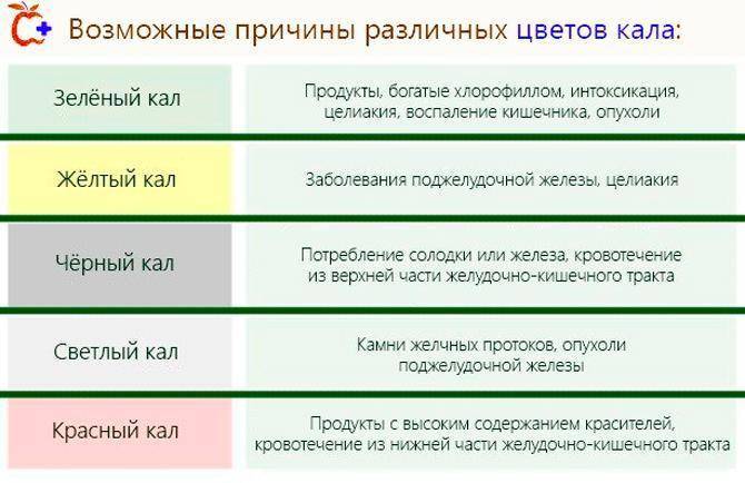 Почему кал зеленого цвета. Цвет кала. Цвет кала у взрослого человека. Цвет кала в норме. Болезни по цвету кала.