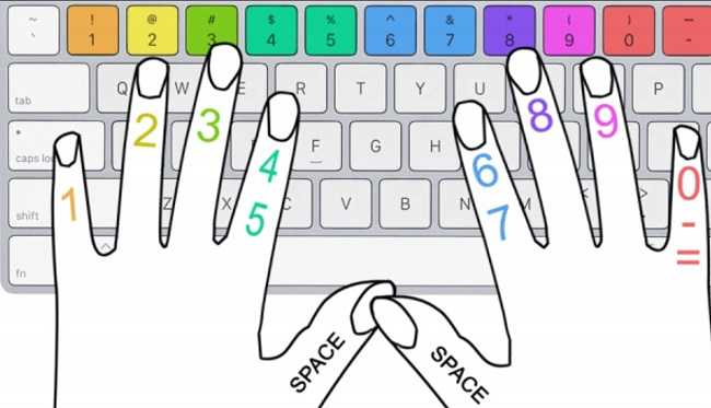 Как научиться быстро печатать на клавиатуре: простые техники обучения слепой печати и топ-5 клавиатурных тренажёров