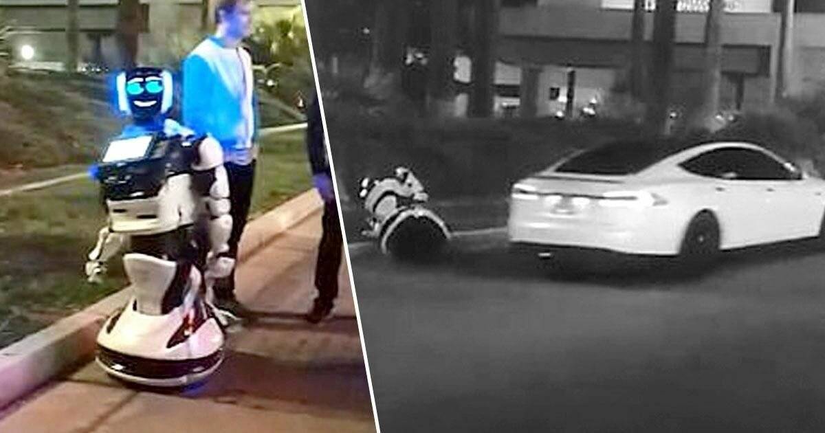 25 доказательств того, что роботы-пылесосы — те еще проказники (26 фото)