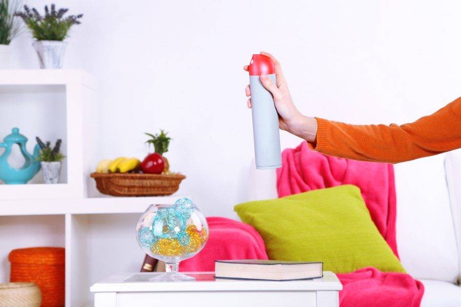 Как устранить неприятный запах в квартире: описание лучших способов